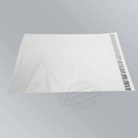 Файл: Курьерский-пакет-пластик-прозрачный-300х400_1