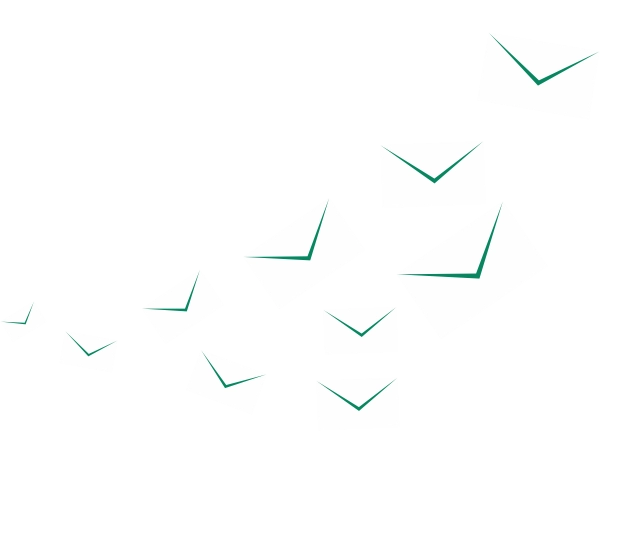 Новогодняя распродажа конвертов и курьерских пакетов