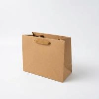 Файл: paket-22x10x18-horizontal-kraft_