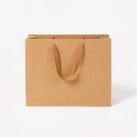 Файл: paket-22x10x18-horizontal-kraft_