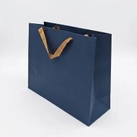 Файл: paket-37x13x30-horizontal-blue_