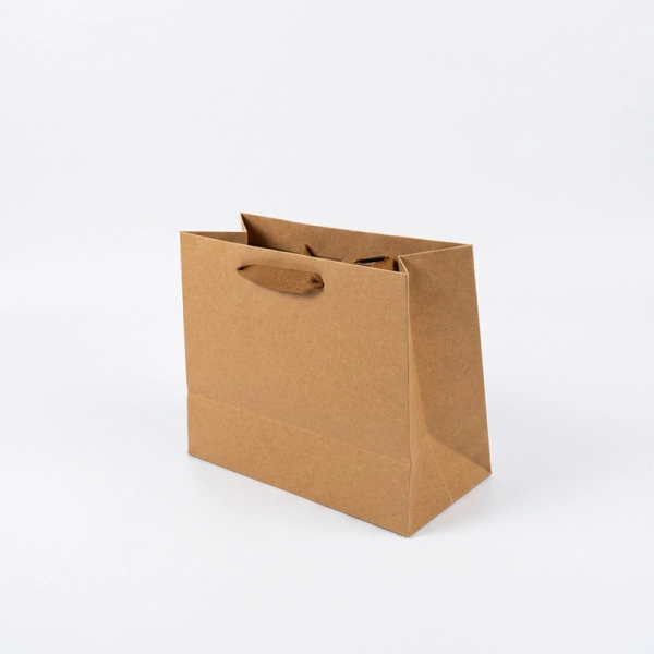 Файл: paket-22x10x18-horizontal-kraft_1