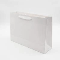 Файл: paket-40x12x28-horizontal-white_